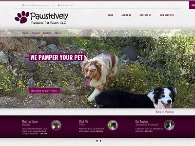 Pampered Pet Resort